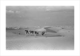 View of Wilfred Thesiger's party ...