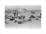 View of men from the ...