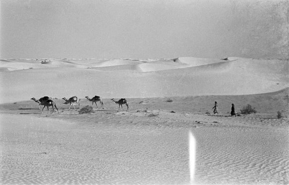 View of Wilfred Thesiger's travelling ...