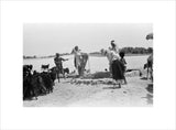 View of a group of ...
