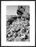 View of a herd of ...