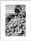 View of a herd of ...