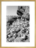 View of a herd of ...