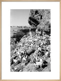 View of a herd of ...
