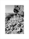 View of a herd of ...
