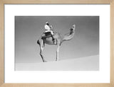 Portrait of an Arab falconer ...