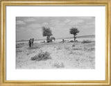 View of Wilfred Thesiger's party ...