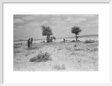 View of Wilfred Thesiger's party ...