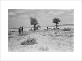 View of Wilfred Thesiger's party ...