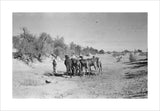 View of Wilfred Thesiger's travelling ...