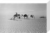 View of Wilfred Thesiger's travelling ...