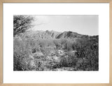 View of a wadi bed ...