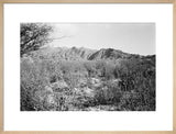 View of a wadi bed ...