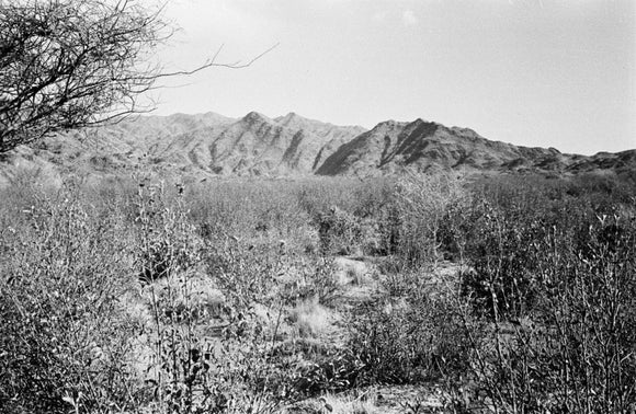 View of a wadi bed ...