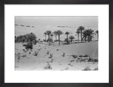 View of a Bani Yas ...