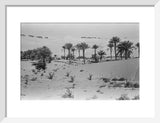 View of a Bani Yas ...