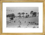 View of a Bani Yas ...