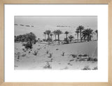 View of a Bani Yas ...
