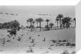 View of a Bani Yas ...