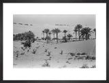 View of a Bani Yas ...