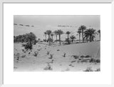 View of a Bani Yas ...