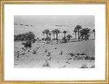View of a Bani Yas ...
