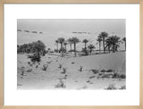 View of a Bani Yas ...