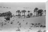 View of a Bani Yas ...