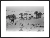 View of a Bani Yas ...