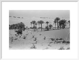 View of a Bani Yas ...