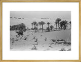 View of a Bani Yas ...