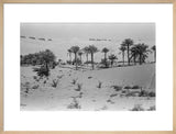 View of a Bani Yas ...