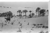 View of a Bani Yas ...