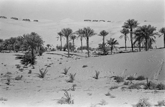 View of a Bani Yas ...