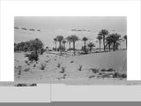 View of a Bani Yas ...