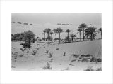 View of a Bani Yas ...