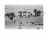 View of a Bani Yas ...