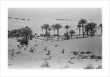 View of a Bani Yas ...
