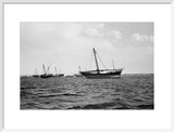 Side view of kotias, large ...