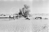 View of two members of ...