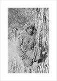Portrait of Musallim bin Anauf ...