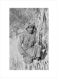 Portrait of Musallim bin Anauf ...