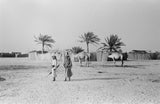 View of men and camels ...