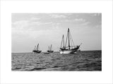 View of dhows moored at ...