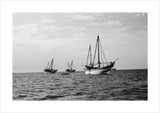 View of dhows moored at ...