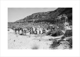 Wilfred Thesiger's Bedouin travelling party ...
