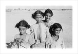 Portrait of four boys at ...