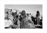View of Sa'ar Bedouin watering ...