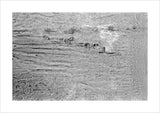 View of Wilfred Thesiger's travelling ...