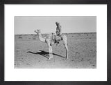 Portrait of a man mounted ...